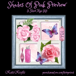 Shades Of Pink Mini Kit