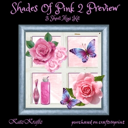Shades Of Pink 2 Mini Kit
