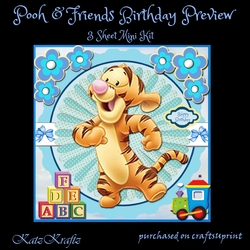 Pooh & Friends Birthday 1 mini kit