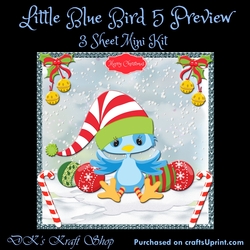Little Blue Bird 5