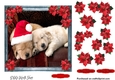 Pet Lovers Christmas 2