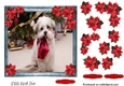Pet Lovers Christmas 3