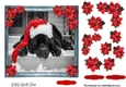 Pet Lovers Christmas 10