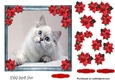 Pet Lovers Christmas 12