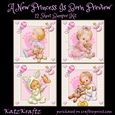 A New Princess Is Born Bumper Kit