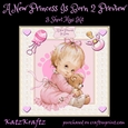 A New Princess Is Born 2