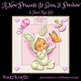 A New Princess Is Born 3