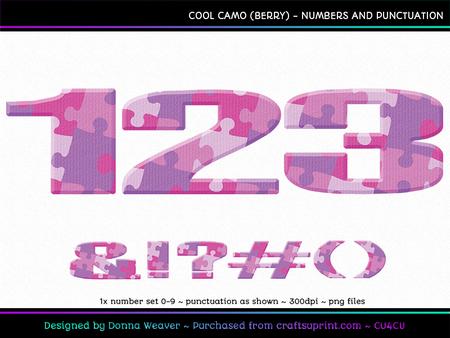 Cool Camo Berry Numbers and Punctuation