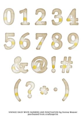 Vintage Daisy White Numbers and Punctuation Sheet