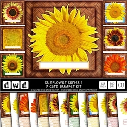 Sunflower Series 1 - 7 Quick 8x8 Cards Kit