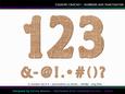 Country Crochet Numbers and Punctuation