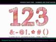 Cu4cu Vintage Daisy Pink Numbers and Punctuation
