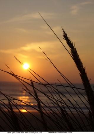 Sunset on the Beach
