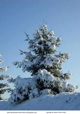Snow