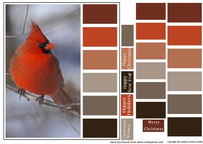 Color Swatch Christmas Bird