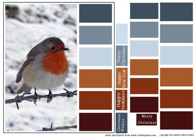 Color Swatch Christmas Bird