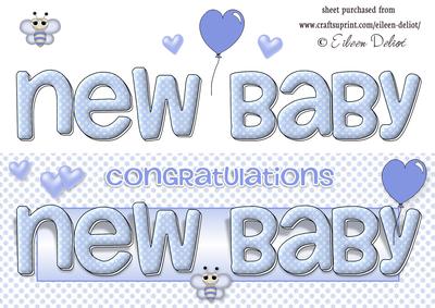 New Baby Boy