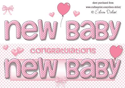 New Baby Girl