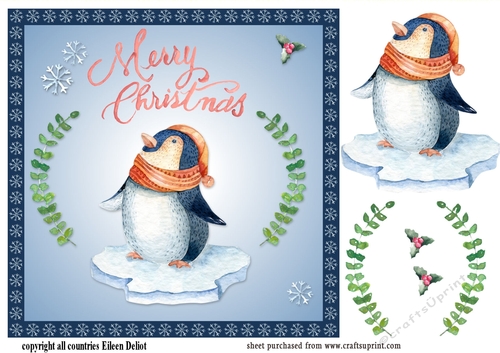 Christmas Penguin on ice