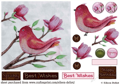 Magnolia with bird 