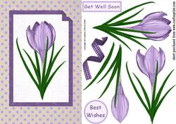 Card with Crocus