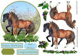 Horses in Spring