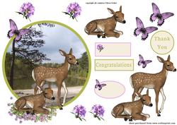 2 Little Deers in Forest