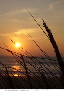 Sunset on the Beach