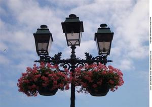 Street Light with Flowers