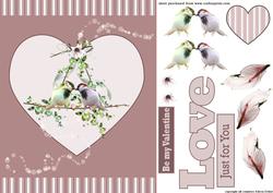 Valentine Birds