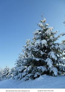 Snow