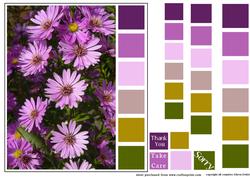 Color Swatch Autumn Flowers