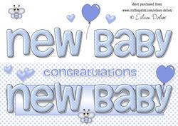 New Baby Boy