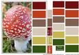 Color Swatch Mushroom