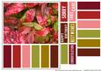Color Swatch Autumn Leaves