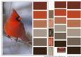 Color Swatch Christmas Bird