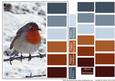 Color Swatch Christmas Bird