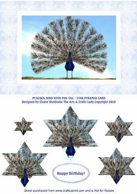 Peacock Bird with Fan Tail - Star Pyramid Card