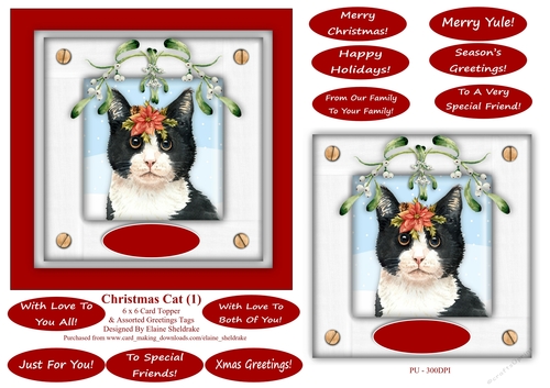 Christmas Cat (1) 6 x 6 Card Topper With Masses Of Greetings Tags