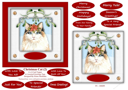 Christmas Cat (2) 6 x 6 Card Topper With Masses Of Greetings Tags