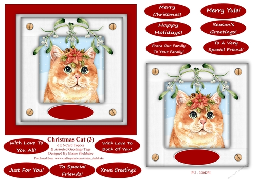 Christmas Cat (3) 6 x 6 Card Topper With Masses Of Greetings Tags