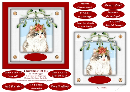 Christmas Cat (4) 6 x 6 Card Topper & Masses Of Greetings Tags