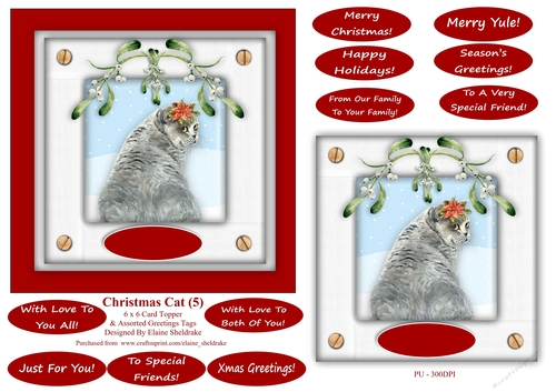 Christmas Cat (5) 6 x 6 Card Topper & Masses Of Greetings Tags