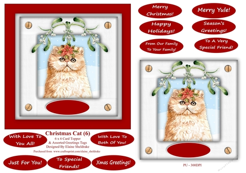 Christmas Cat (6) 6 x 6 Card Topper & Masses Of Greetings Tags