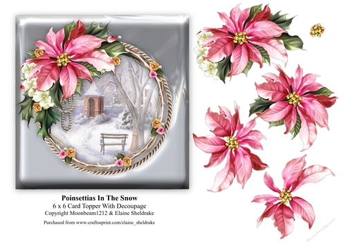 Poinsettias In The Snow (1) - 6 x 6 Card Topper & Decoupage