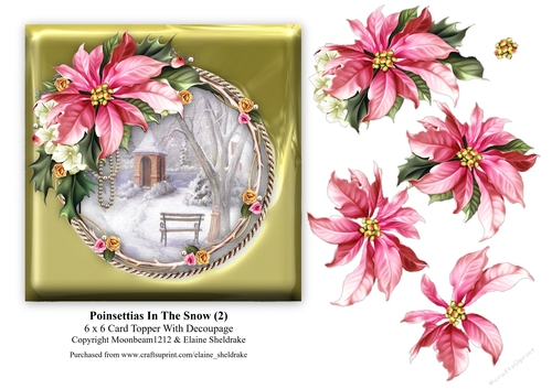 Poinsettias In The Snow (2) - 6 x 6 Card Topper & Decoupage