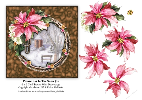Poinsettias In The Snow (3) - 6 x 6 Card Topper & Decoupage