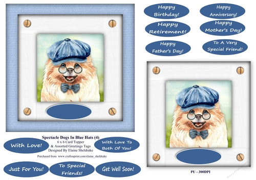 Spectacle Dogs In Blue Hats (4) - 6 x 6 Card Topper & Greetings Tags