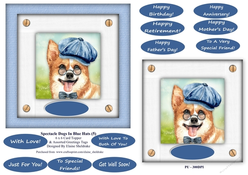 Spectacle Dogs In Blue Hats (5) - 6 x 6 Card Topper & Greetings Tags