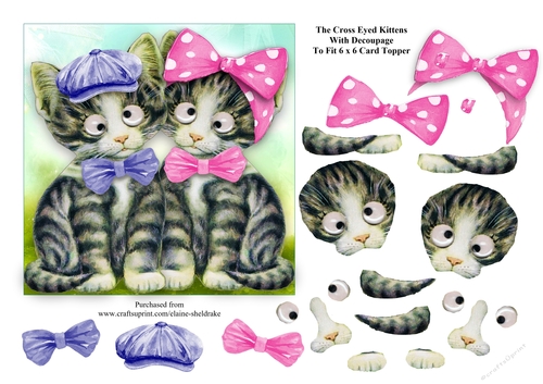The Cross Eyed Kittens With Decoupage - To Fit 6 x 6 Cards